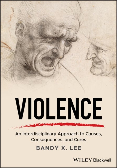 Violence - An Interdisciplinary Approach to Causes, Consequences, and Cures