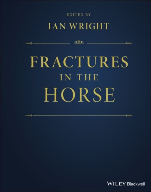 Bilde av Fractures In The Horse