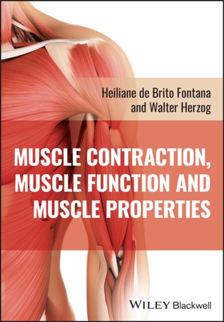 Bilde av Muscle Contraction, Muscle Function And Muscle Pro Perties Av Herzog