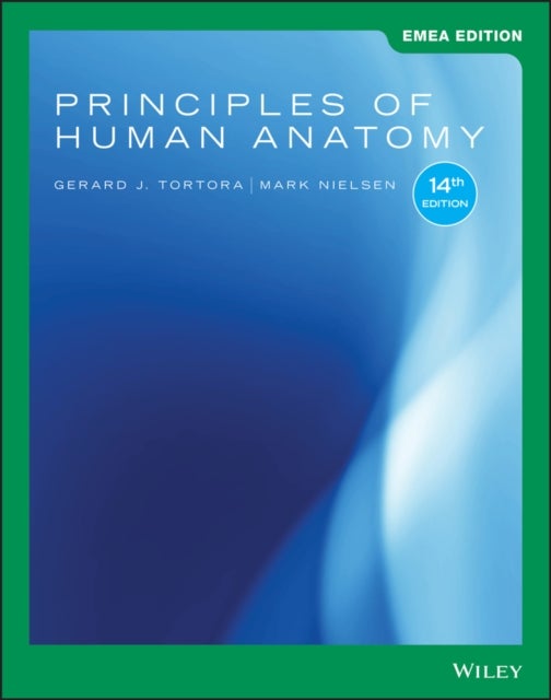 Bilde av Principles Of Human Anatomy Av Gerard J. (bergen Community College) Tortora, Mark (university Of Utah) Nielsen