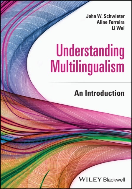 Understanding Multilingualism - An Introduction