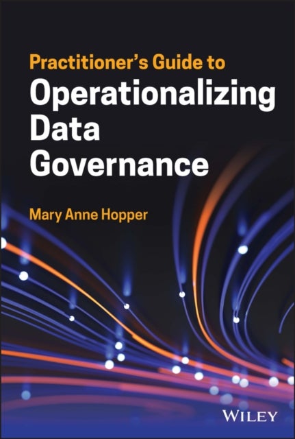 Bilde av Practitioner&#039;s Guide To Operationalizing Data Governance Av Mary Anne Hopper