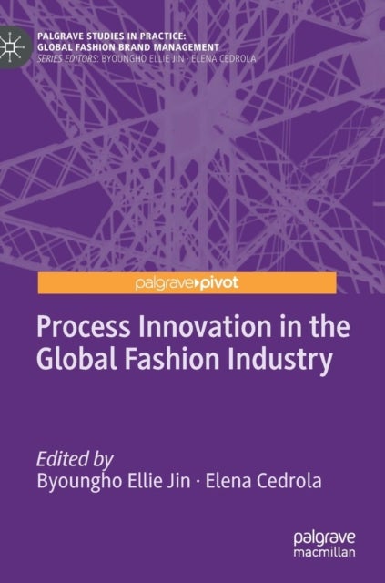 Bilde av Process Innovation In The Global Fashion Industry