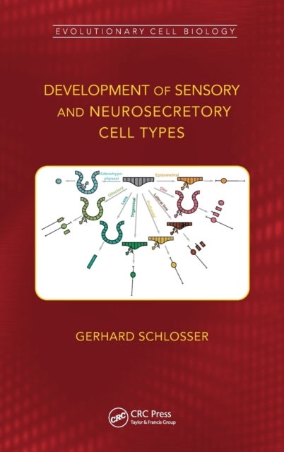 Development of Sensory and Neurosecretory Cell Types - Vertebrate Cranial Placodes, volume 1