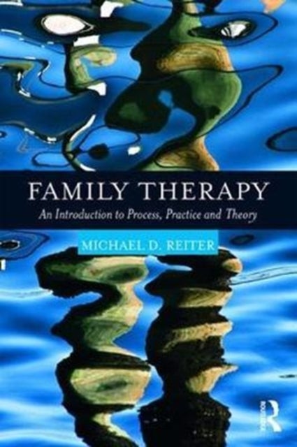 Family Therapy - An Introduction to Process, Practice and Theory