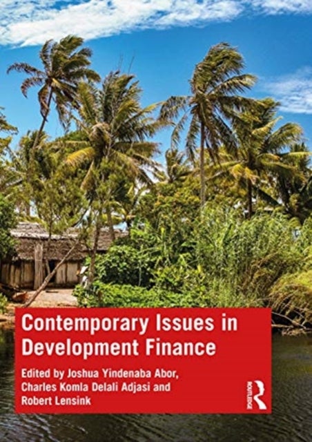Bilde av Contemporary Issues In Development Finance