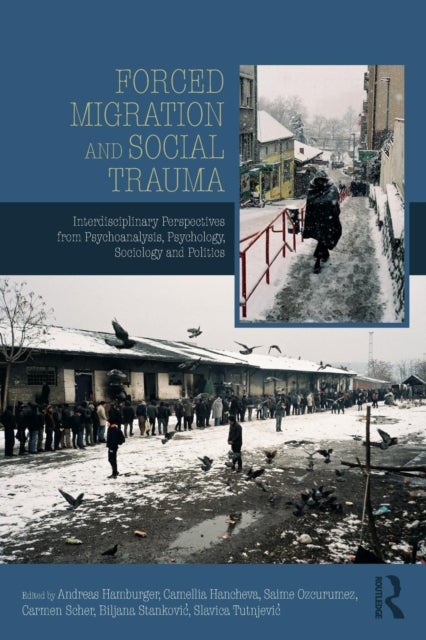 Forced Migration and Social Trauma - Interdisciplinary Perspectives from Psychoanalysis, Psychology, Sociology and Politics