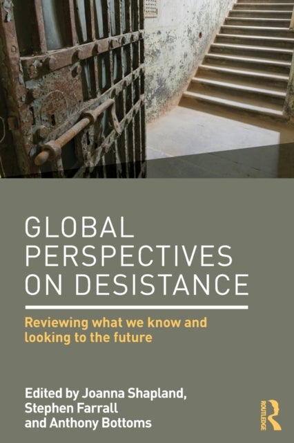 Bilde av Global Perspectives On Desistance