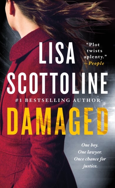 Damaged - A Rosato & DiNunzio Novel