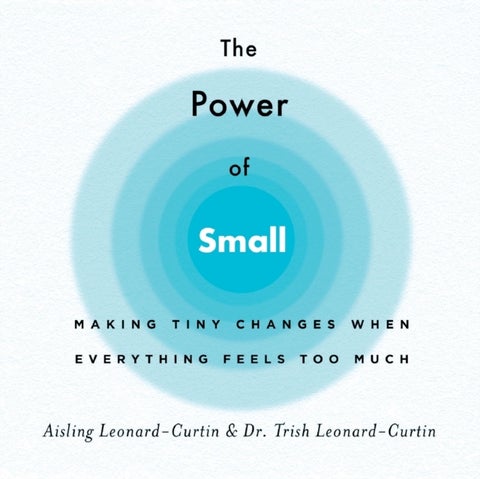 The Power of Small - Making Tiny Changes When Everything Feels Too Much