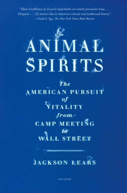 Animal Spirits - The American Pursuit of Vitality from Camp Meeting to Wall Street
