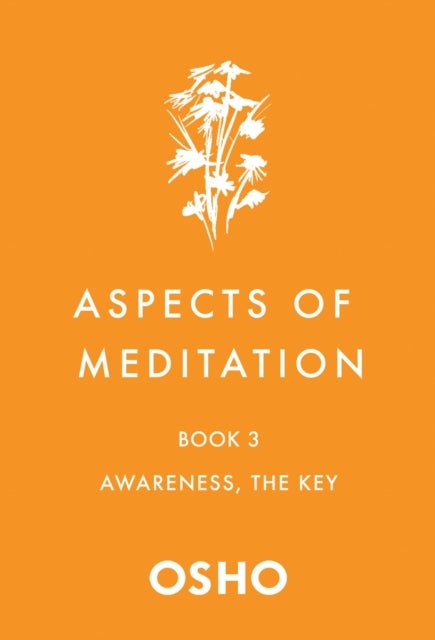 Aspects of Meditation Book 3 - Awareness, the Key