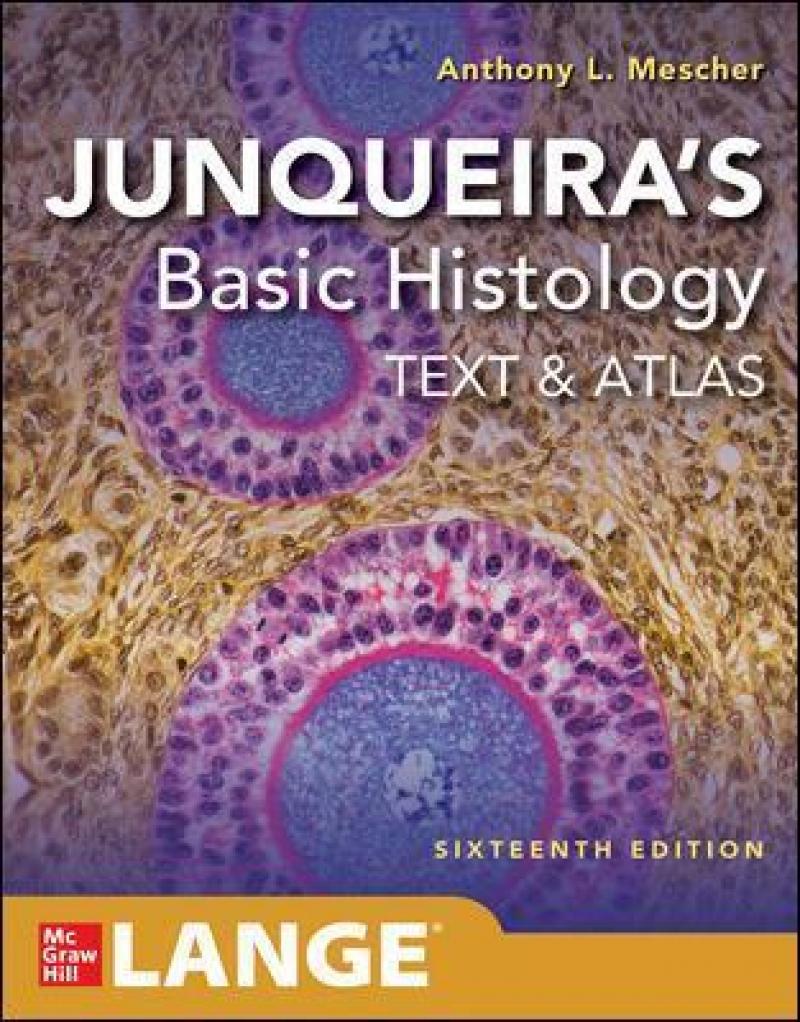 Bilde av Junqueira&#039;s Basic Histology: Text And Atlas, Sixte Av Anthony L. Mescher