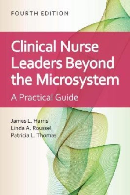 Clinical Nurse Leaders Beyond the Microsystem - A Practical Guide