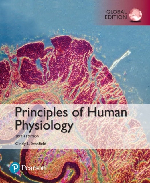 Bilde av Principles Of Human Physiology, Global Edition Av Cindy Stanfield