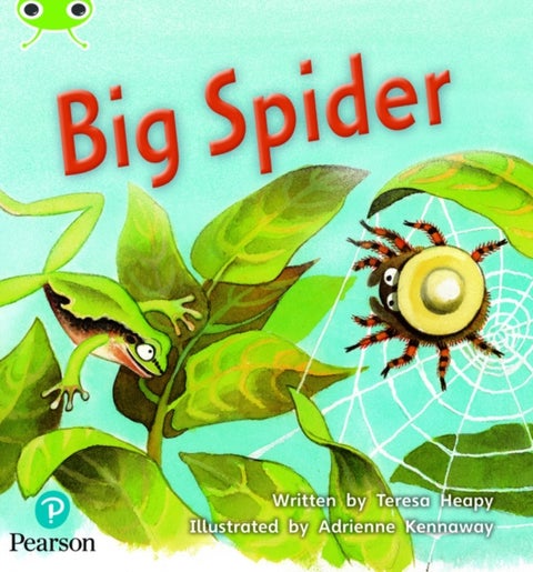 Bug Club Phonics ? Phase 5 Unit 27: Big Spider