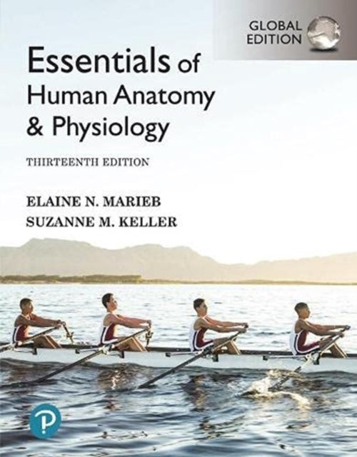 Bilde av Essentials Of Human Anatomy &amp; Physiology, Global Edition Av Elaine Marieb, Suzanne Keller