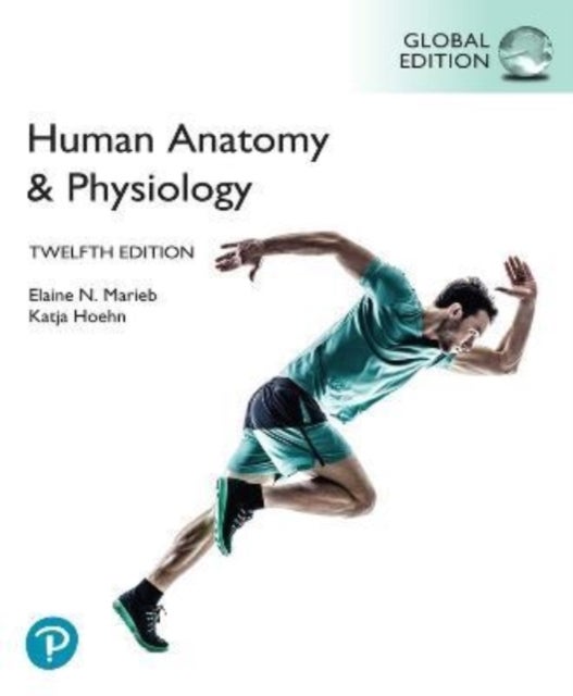 Bilde av Human Anatomy &amp; Physiology, Global Edition Av Elaine Marieb, Katja Hoehn