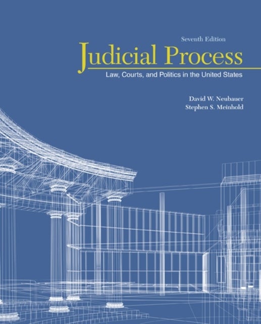 Bilde av Judicial Process Av David (university Of New Orleans) Neubauer, Stephen (university Of North Carolina At Wilmington) Meinhold