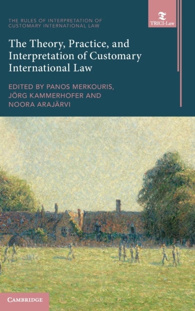 Bilde av The Theory, Practice, And Interpretation Of Customary International Law