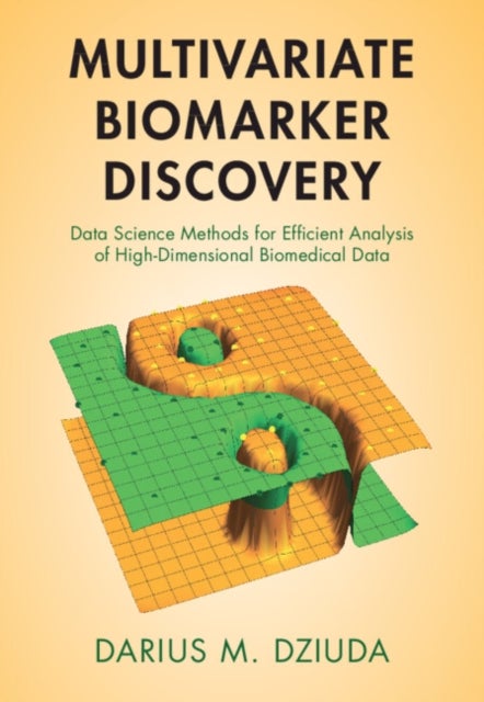 Multivariate Biomarker Discovery - Data Science Methods for Efficient Analysis of High-Dimensional Biomedical Data