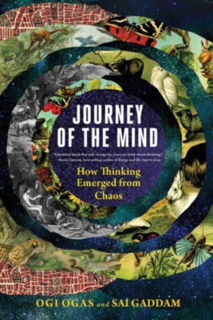 Journey of the Mind - How Thinking Emerged from Chaos