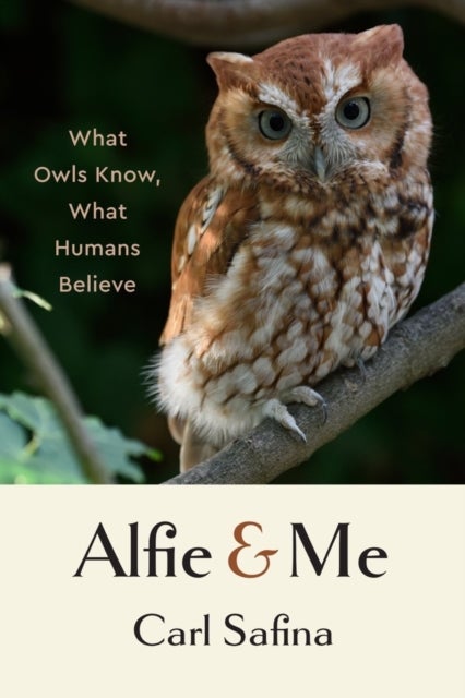 Alfie and Me - What Owls Know, What Humans Believe