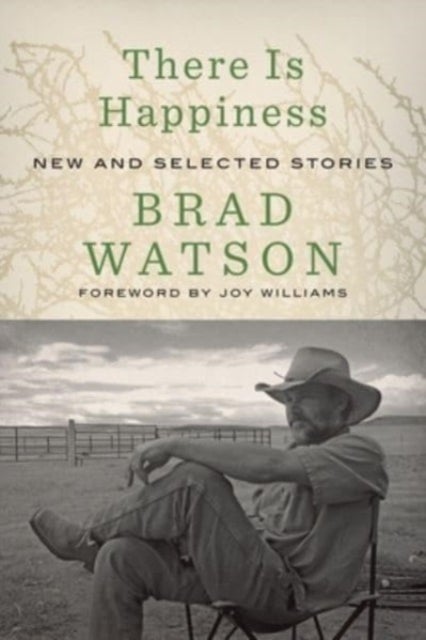 There Is Happiness - New and Selected Stories