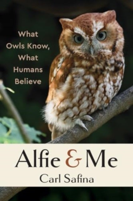Alfie and Me - What Owls Know, What Humans Believe