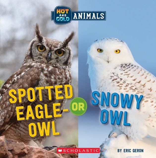 Bilde av Spotted Eagle-owl Or Snowy Owl (wild World: Hot And Cold Animals) Av Eric Geron