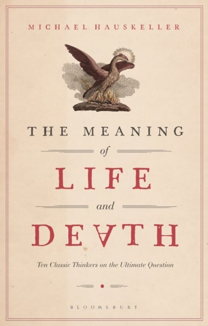 Bilde av The Meaning Of Life And Death Av Michael (professor Of Philosophy University Of Liverpool Uk) Hauskeller