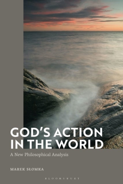 God's Action in the World - A New Philosophical Analysis