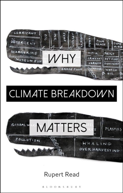 Bilde av Why Climate Breakdown Matters Av Dr Rupert Read