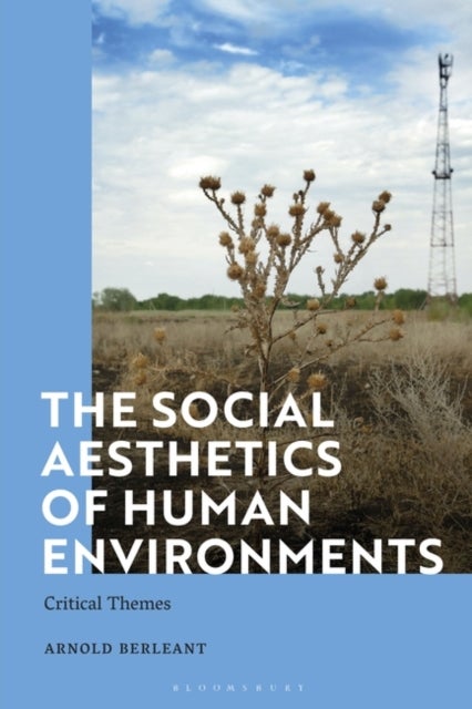 The Social Aesthetics of Human Environments - Critical Themes