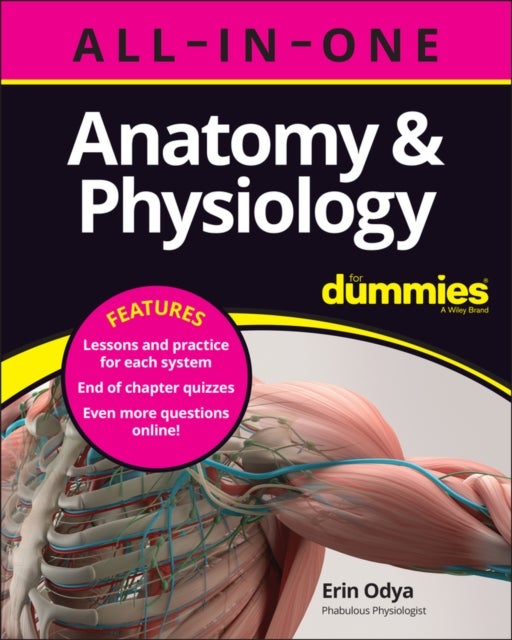 Bilde av Anatomy &amp; Physiology All-in-one For Dummies (+ Chapter Quizzes Online) Av Erin Odya