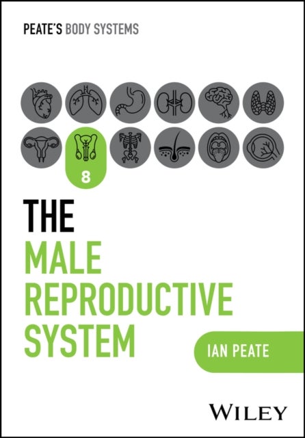 The Male Reproductive System