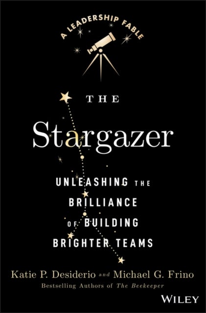 The Stargazer - Unleashing the Brilliance of Building Brighter Teams