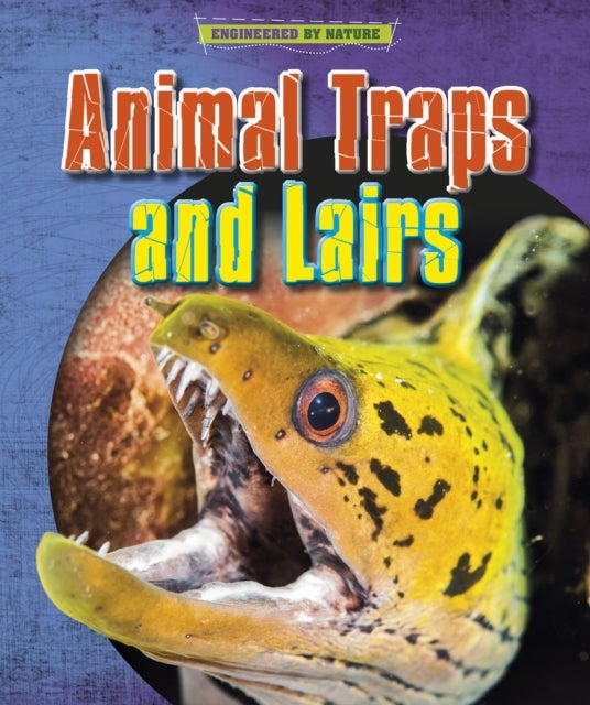 Bilde av Animal Traps And Lairs Av Louise Spilsbury, Richard Spilsbury