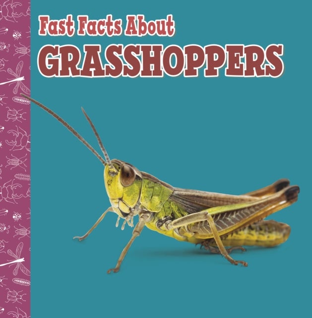 Bilde av Fast Facts About Grasshoppers Av Julia Garstecki-derkovitz