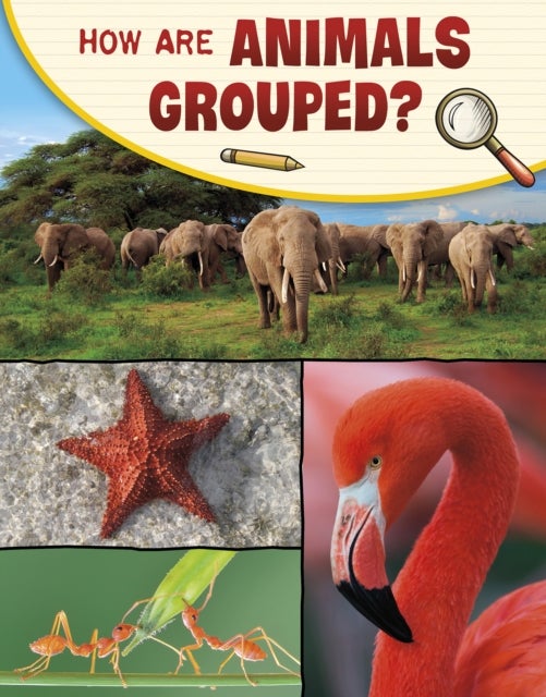 Bilde av How Are Animals Grouped? Av Lisa M. Bolt Simons