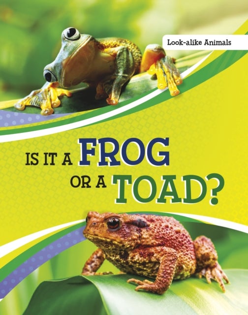 Bilde av Is It A Frog Or A Toad? Av Susan B. Katz