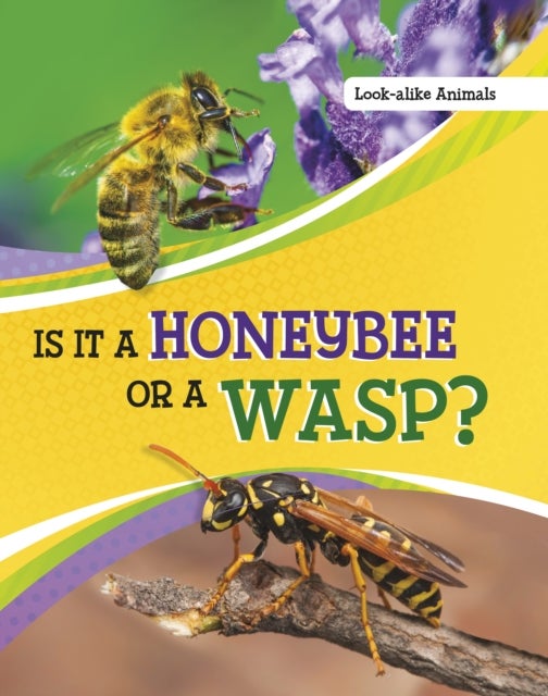 Bilde av Is It A Honeybee Or A Wasp? Av Susan B. Katz
