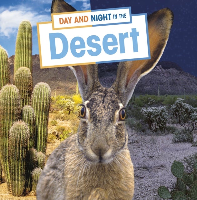 Bilde av Day And Night In The Desert Av Ellen Labrecque