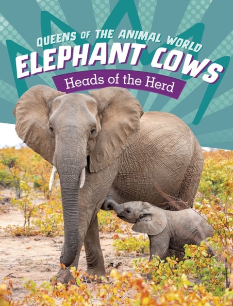Elephant Cows - Heads of the Herd