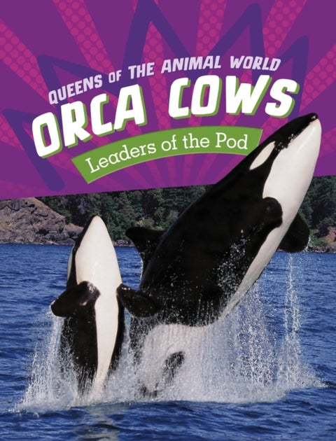 Orca Cows - Leaders of the Pod