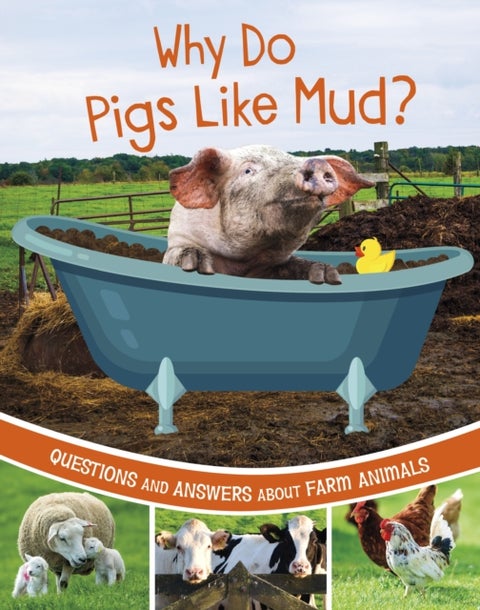 Why Do Pigs Like Mud? - Questions and Answers About Farm Animals
