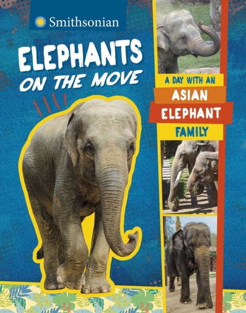 Elephants on the Move - A Day with an Asian Elephant Family