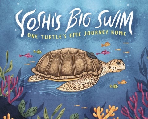 Yoshi's Big Swim - One Turtle's Epic Journey Home