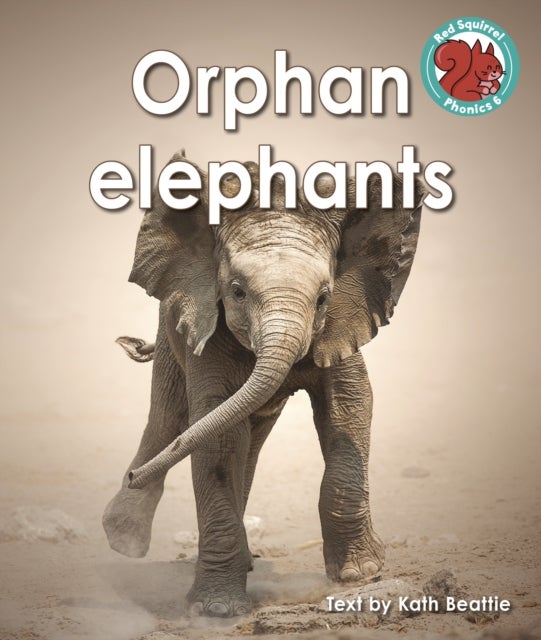 Bilde av Orphan Elephants Av Kath Beattie