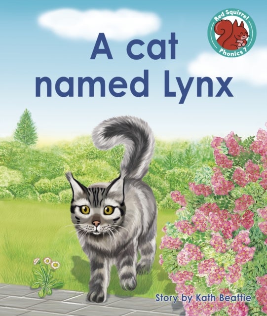 Bilde av A Cat Named Lynx Av Kath Beattie